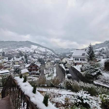Dom wakacyjny Haus Schwarzwald Koenigin *