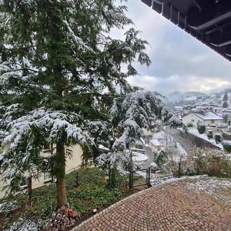 Dom wakacyjny Haus Schwarzwald Koenigin