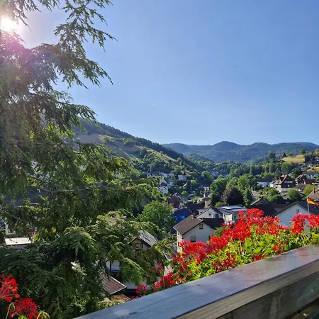 Haus Schwarzwald Koenigin Dom wakacyjny