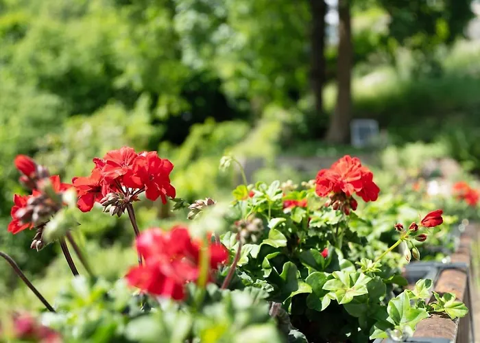 Haus Schwarzwald Koenigin Holiday home