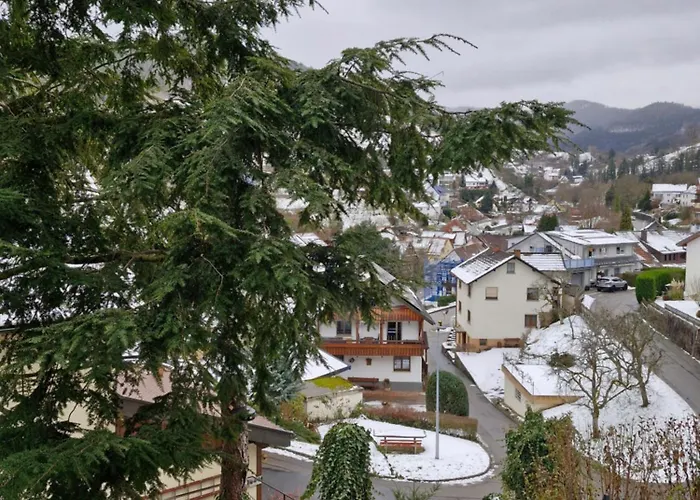 Holiday home Haus Schwarzwald Koenigin *